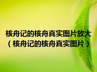 核舟记的核舟真实图片放大（核舟记的核舟真实图片）