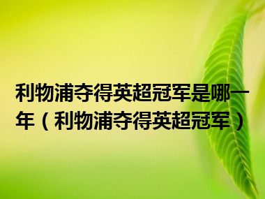 利物浦夺得英超冠军是哪一年（利物浦夺得英超冠军）