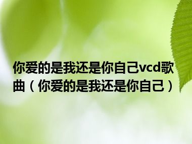 你爱的是我还是你自己vcd歌曲（你爱的是我还是你自己）