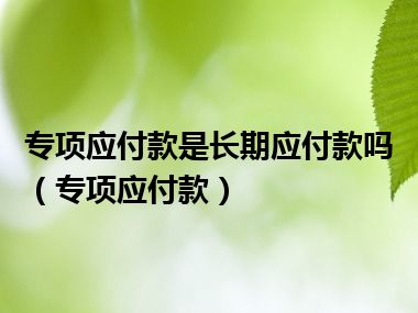 专项应付款是长期应付款吗（专项应付款）