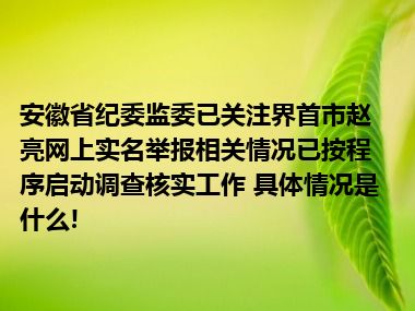 安徽省纪委监委已关注界首市赵亮网上实名举报相关情况已按程序启动调查核实工作 具体情况是什么!