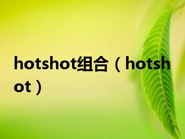 hotshot组合（hotshot）