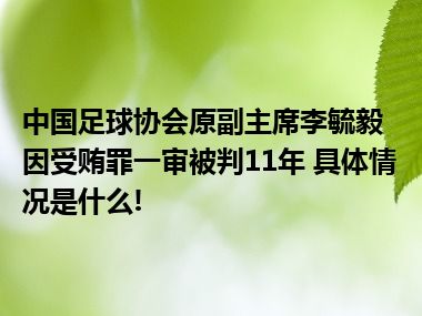 中国足球协会原副主席李毓毅因受贿罪一审被判11年 具体情况是什么!