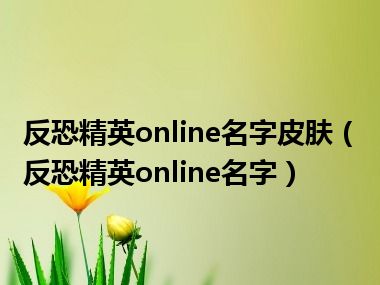 反恐精英online名字皮肤（反恐精英online名字）