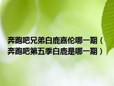 奔跑吧兄弟白鹿嘉伦哪一期（奔跑吧第五季白鹿是哪一期）