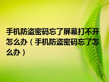 手机防盗密码忘了屏幕打不开怎么办（手机防盗密码忘了怎么办）