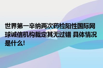 世界第一辛纳两次药检阳性国际网球诚信机构裁定其无过错 具体情况是什么!