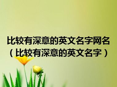 比较有深意的英文名字网名（比较有深意的英文名字）