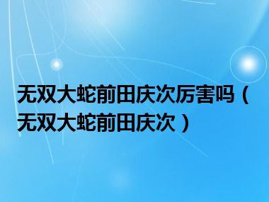 无双大蛇前田庆次厉害吗（无双大蛇前田庆次）