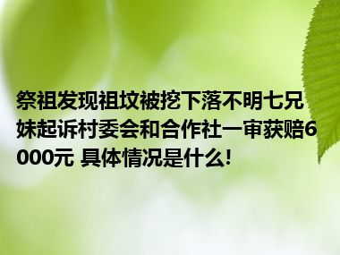 祭祖发现祖坟被挖下落不明七兄妹起诉村委会和合作社一审获赔6000元 具体情况是什么!