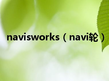 navisworks（navi轮）