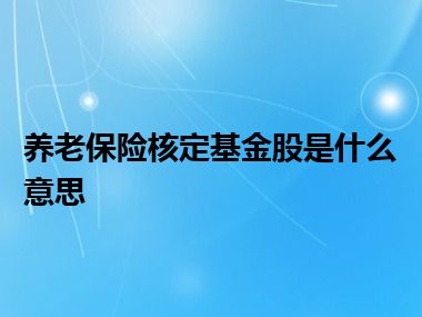 养老保险核定基金股是什么意思