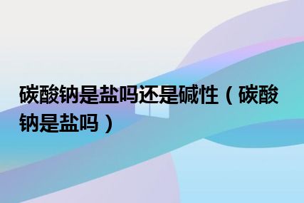 碳酸钠是盐吗还是碱性（碳酸钠是盐吗）