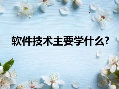 软件技术主要学什么?