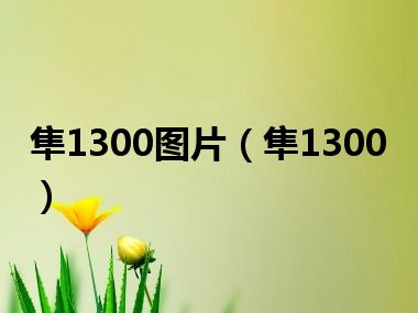 隼1300图片（隼1300）