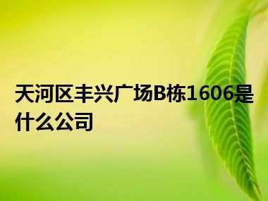 天河区丰兴广场B栋1606是什么公司