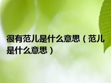 很有范儿是什么意思（范儿是什么意思）