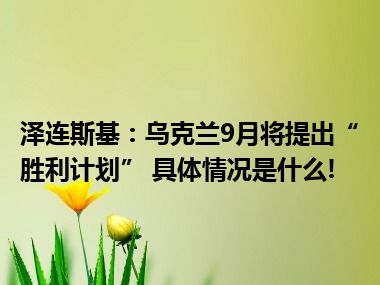 泽连斯基：乌克兰9月将提出“胜利计划” 具体情况是什么!