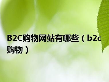 B2C购物网站有哪些（b2c购物）