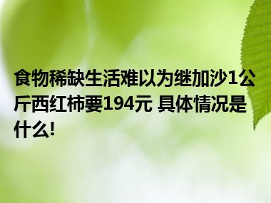 食物稀缺生活难以为继加沙1公斤西红柿要194元 具体情况是什么!