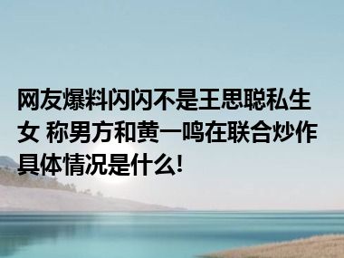 网友爆料闪闪不是王思聪私生女 称男方和黄一鸣在联合炒作 具体情况是什么!