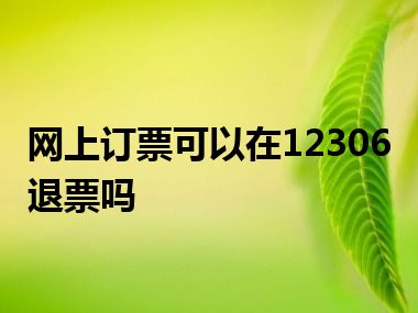 网上订票可以在12306退票吗