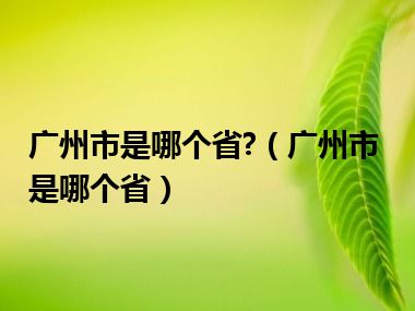 广州市是哪个省?（广州市是哪个省）