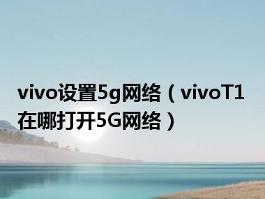 vivo设置5g网络（vivoT1在哪打开5G网络）