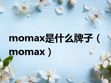 momax是什么牌子（momax）