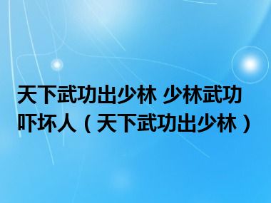 天下武功出少林 少林武功吓坏人（天下武功出少林）