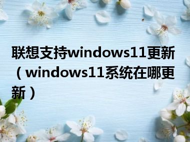 联想支持windows11更新（windows11系统在哪更新）