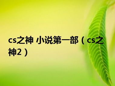 cs之神 小说第一部（cs之神2）