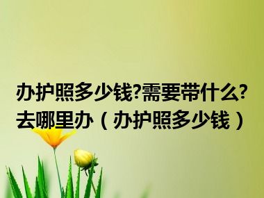 办护照多少钱?需要带什么?去哪里办（办护照多少钱）