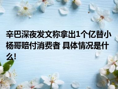 辛巴深夜发文称拿出1个亿替小杨哥赔付消费者 具体情况是什么!