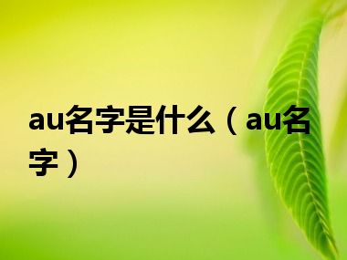 au名字是什么（au名字）