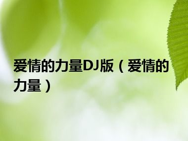 爱情的力量DJ版（爱情的力量）