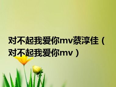 对不起我爱你mv蔡淳佳（对不起我爱你mv）