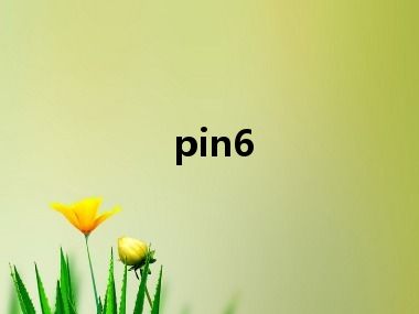 pin6