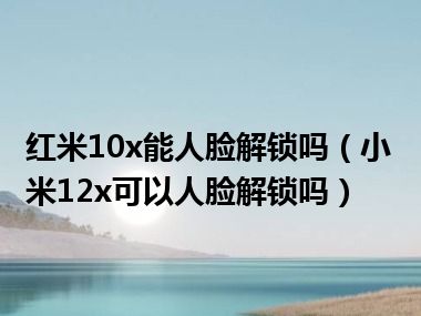 红米10x能人脸解锁吗（小米12x可以人脸解锁吗）