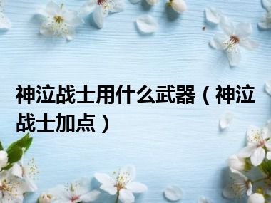 神泣战士用什么武器（神泣战士加点）