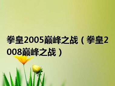 拳皇2005巅峰之战（拳皇2008巅峰之战）