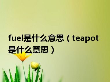 fuel是什么意思（teapot是什么意思）