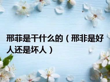 邢菲是干什么的（邢非是好人还是坏人）