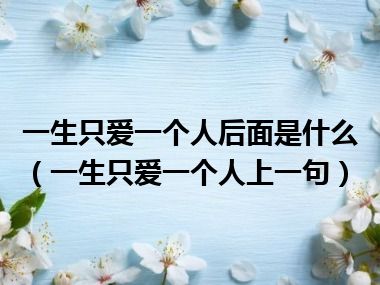 一生只爱一个人后面是什么（一生只爱一个人上一句）