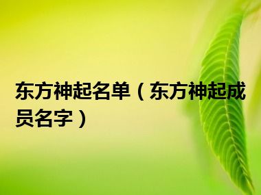 东方神起名单（东方神起成员名字）