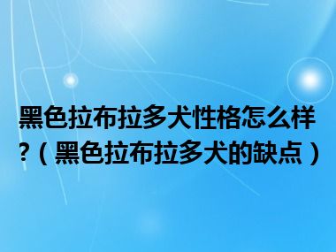 黑色拉布拉多犬性格怎么样?（黑色拉布拉多犬的缺点）