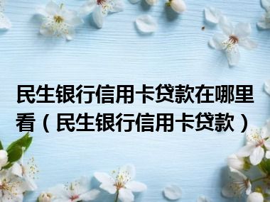 民生银行信用卡贷款在哪里看（民生银行信用卡贷款）