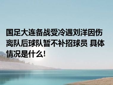 国足大连备战受冷遇刘洋因伤离队后球队暂不补招球员 具体情况是什么!