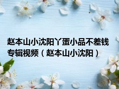 赵本山小沈阳丫蛋小品不差钱专辑视频（赵本山小沈阳）