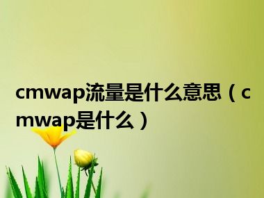 cmwap流量是什么意思（cmwap是什么）